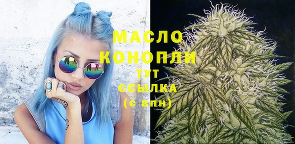 МДПВ Заводоуковск