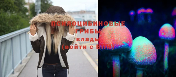 МДПВ Заводоуковск