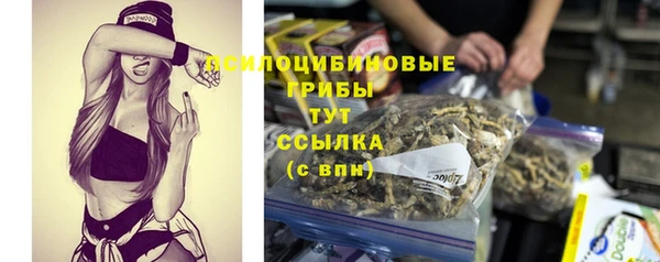 дживик Заволжье