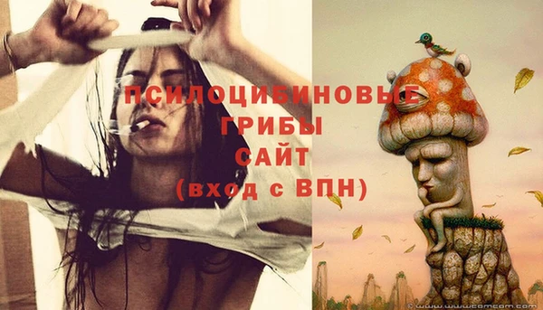 ALPHA PVP Заволжск