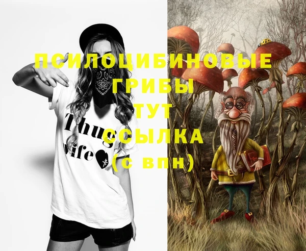 МДПВ Заводоуковск