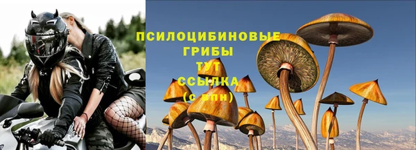 МДПВ Заводоуковск