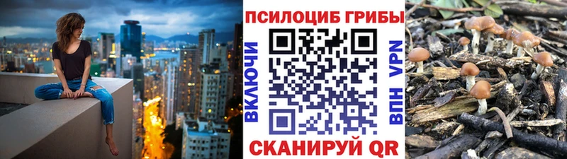 Галлюциногенные грибы Magic Shrooms  Советск 