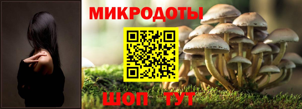 что такое   Псилоцибиновые грибы прущие грибы  Вход с VPN  Советск 